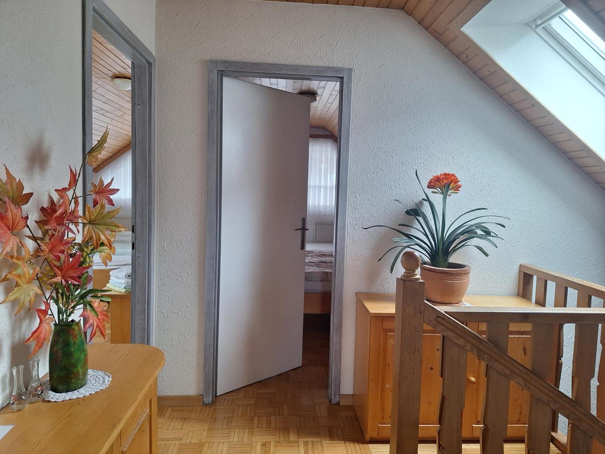 Apartmaji Marinka Hodnik Bohinj Exterior foto