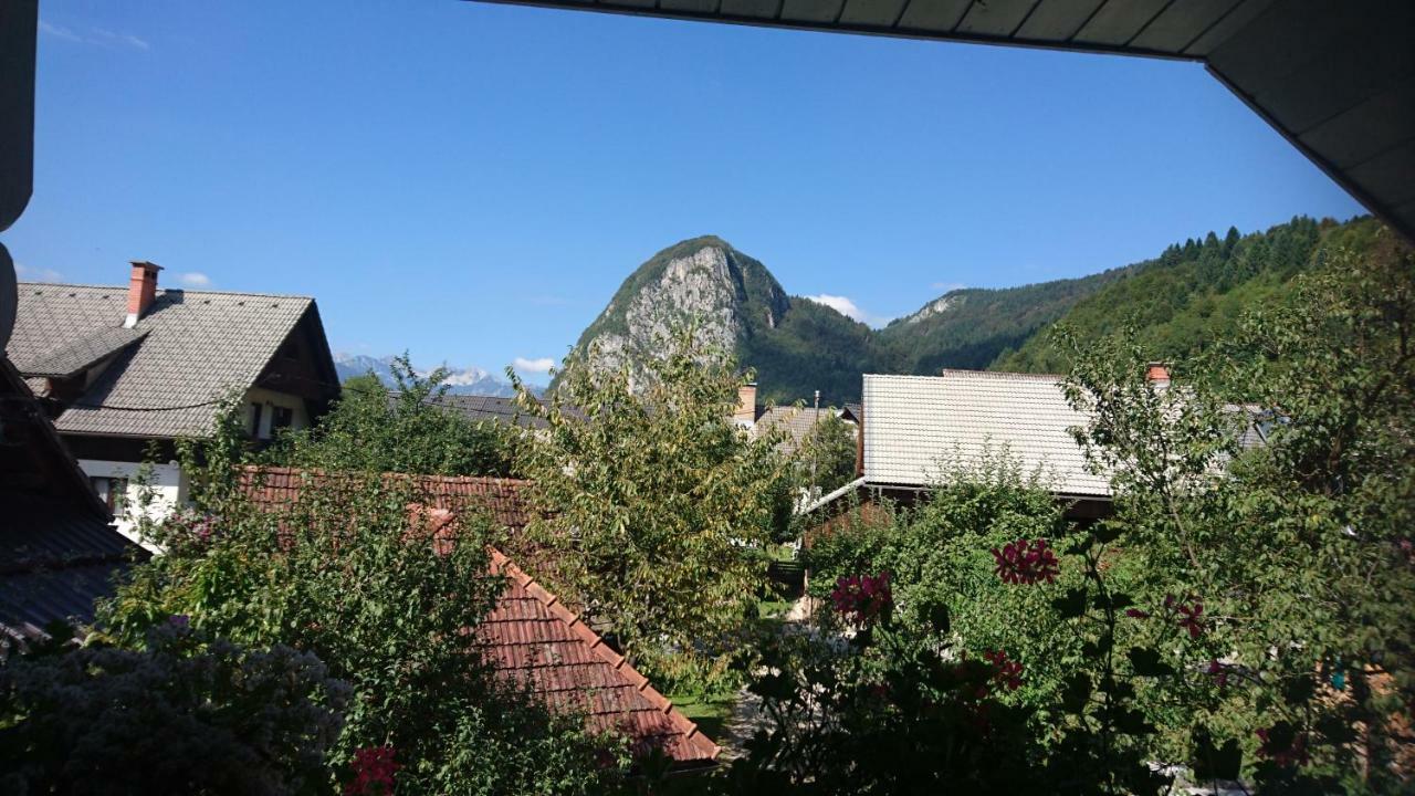 Apartmaji Marinka Hodnik Bohinj Exterior foto